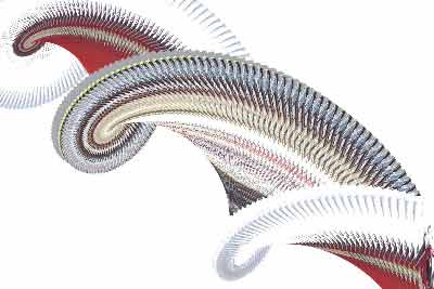 elektrobild Bildverzerrer I